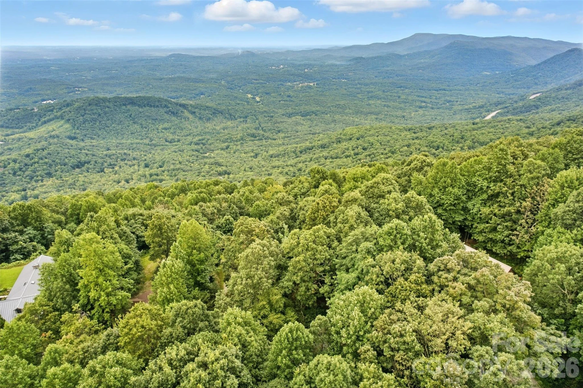3605 Skyuka Mountain Road - Photo 83