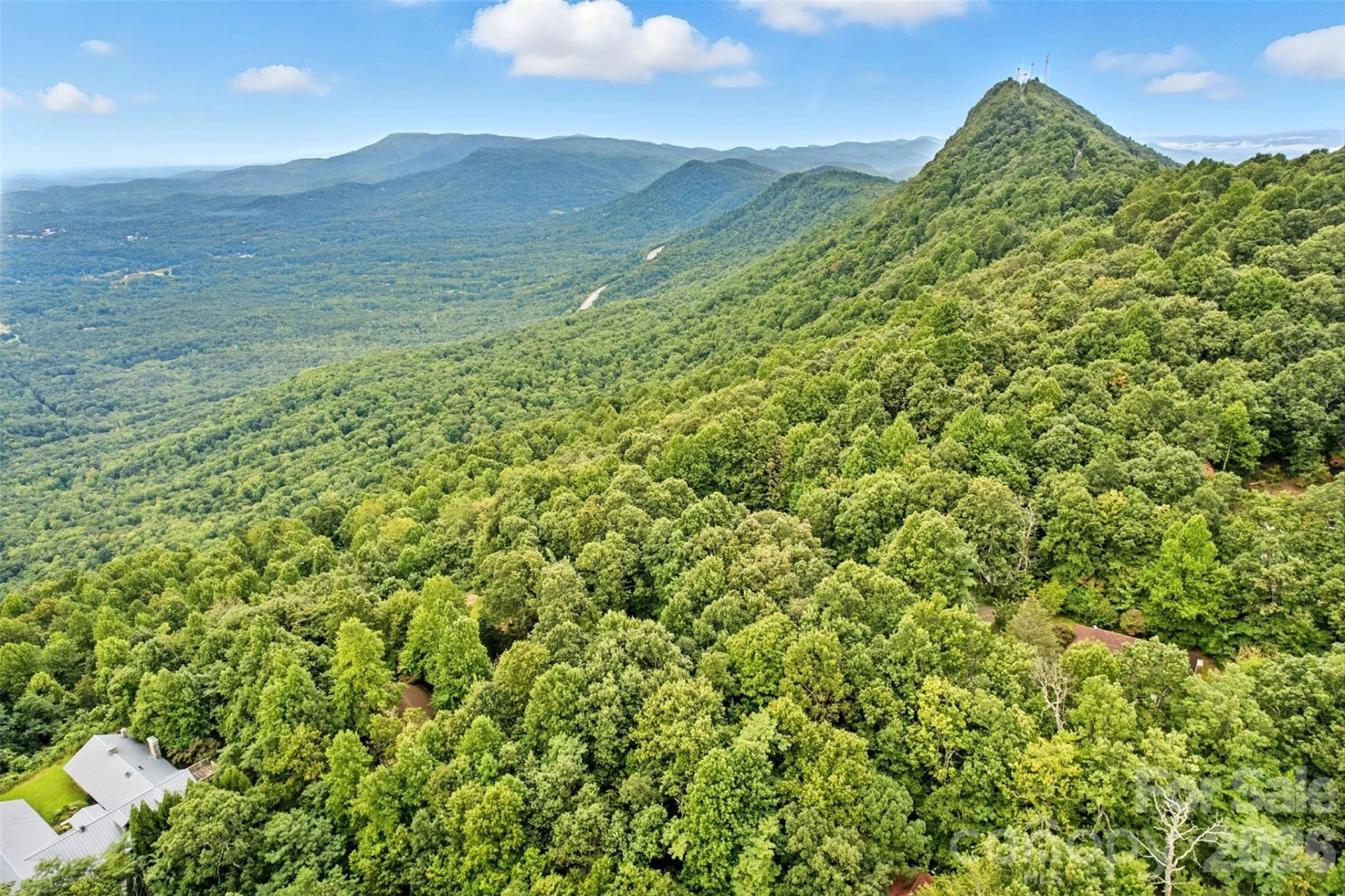 3605 Skyuka Mountain Road - Photo 85