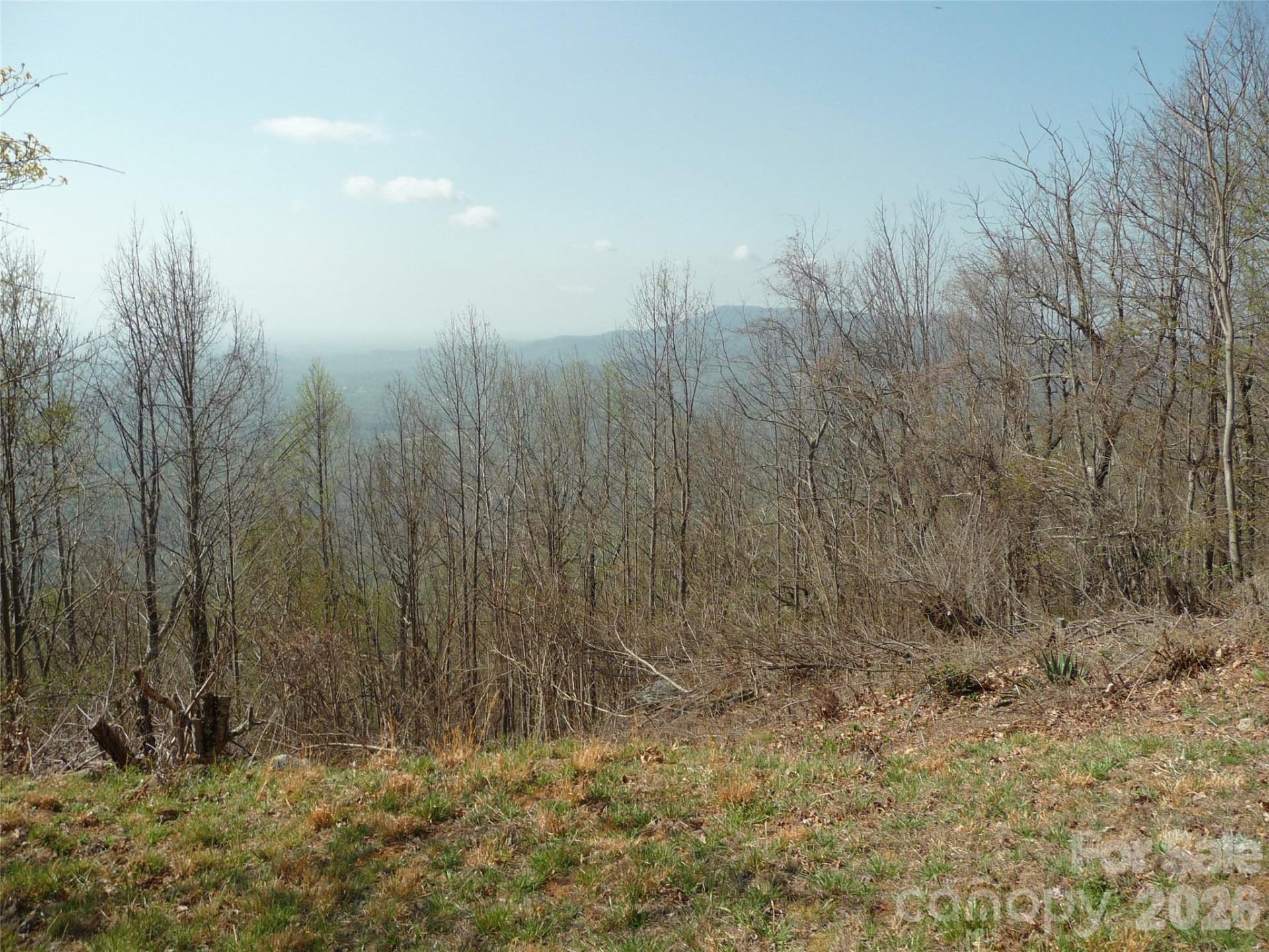 3605 Skyuka Mountain Road - Photo 94