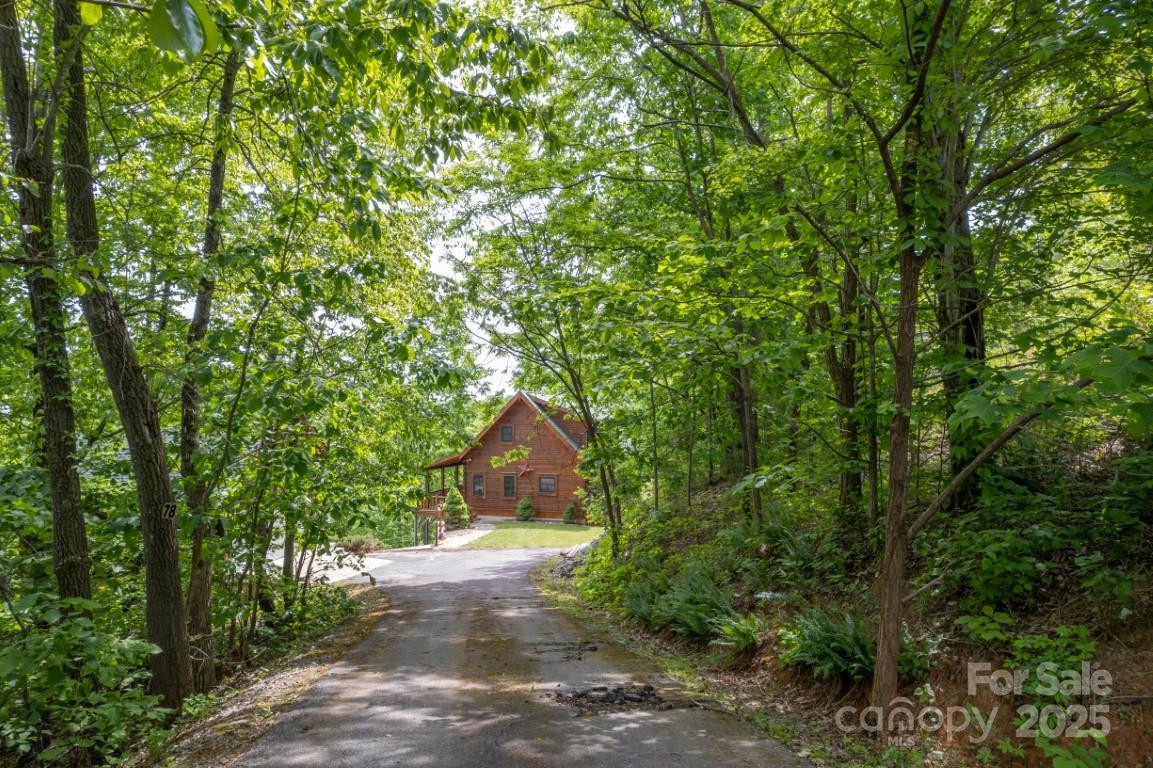 186 Black Ridge Drive - Photo 2