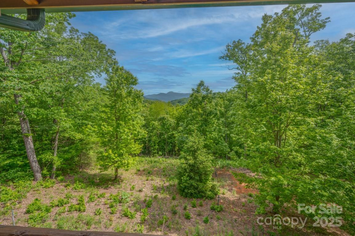 186 Black Ridge Drive - Photo 37