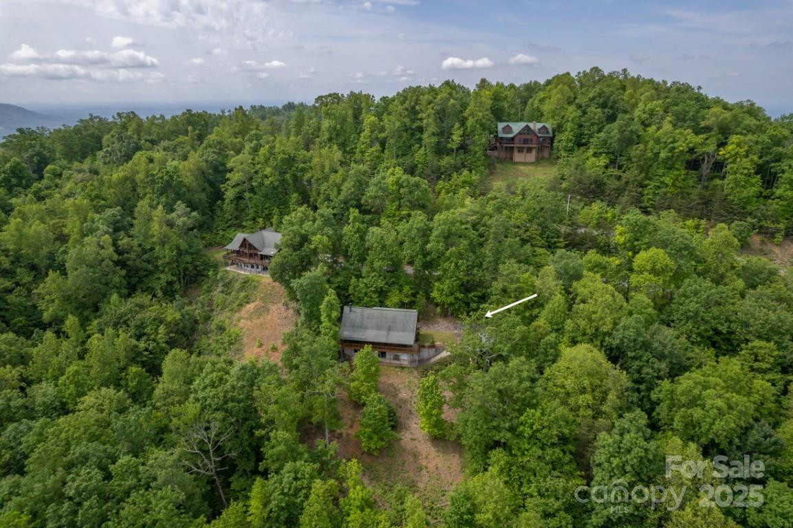 186 Black Ridge Drive - Photo 40