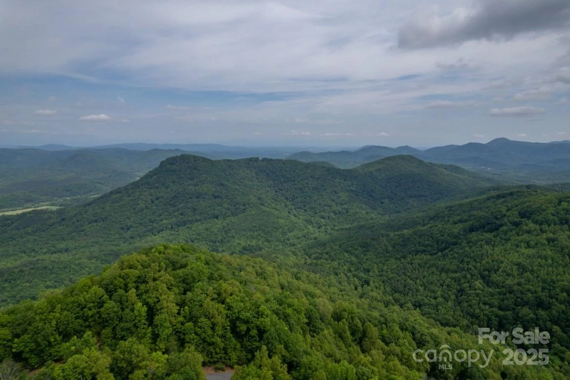 186 Black Ridge Drive - Photo 41