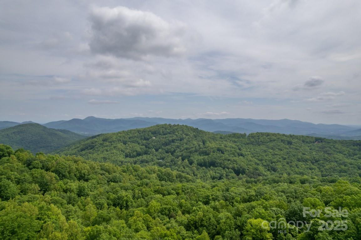 186 Black Ridge Drive - Photo 42