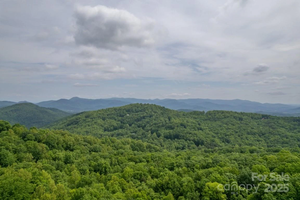 186 Black Ridge Drive - Photo 42