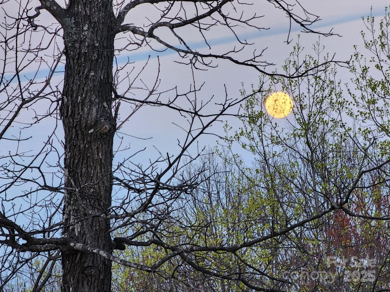 186 Black Ridge Drive - Photo 44