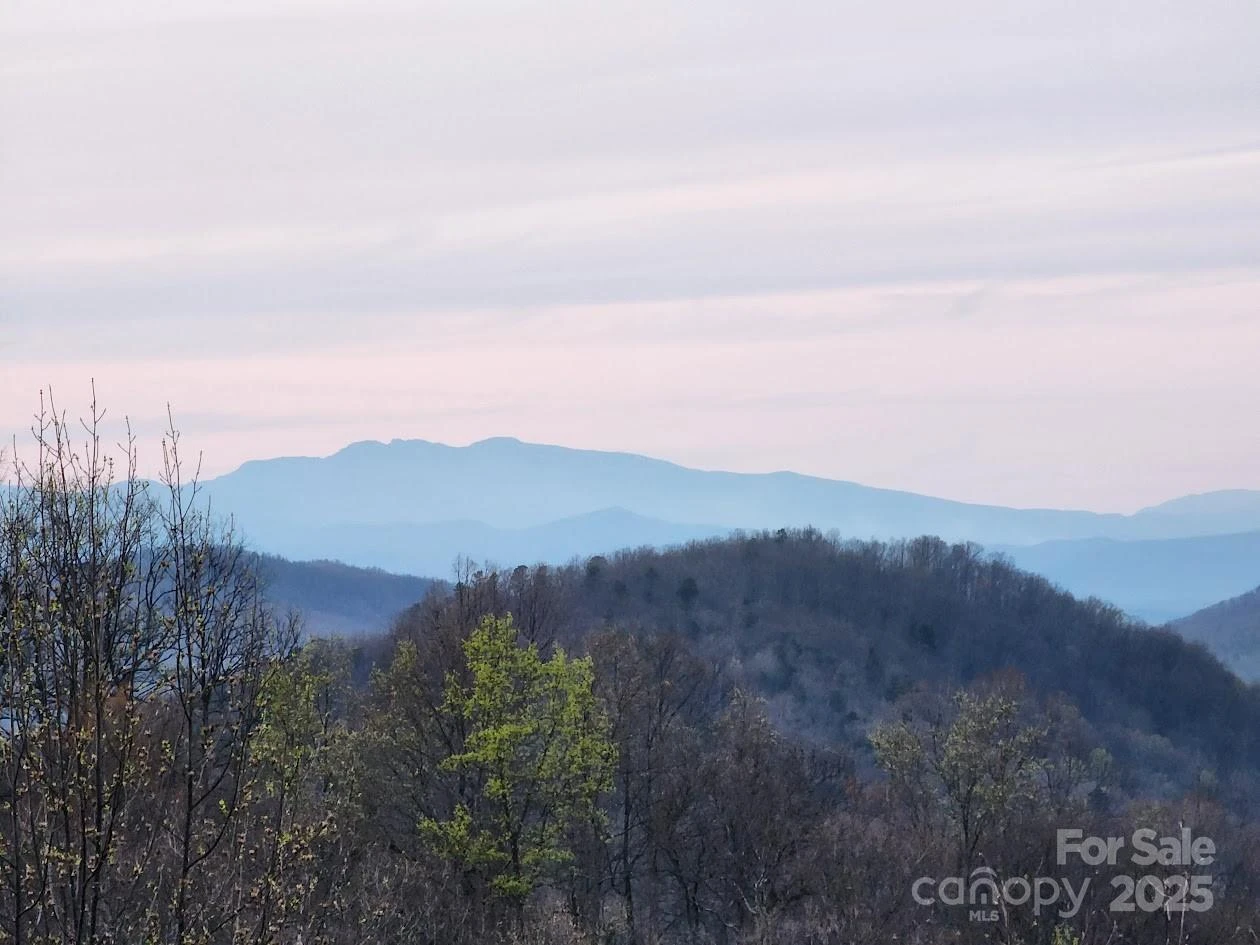 186 Black Ridge Drive - Photo 45