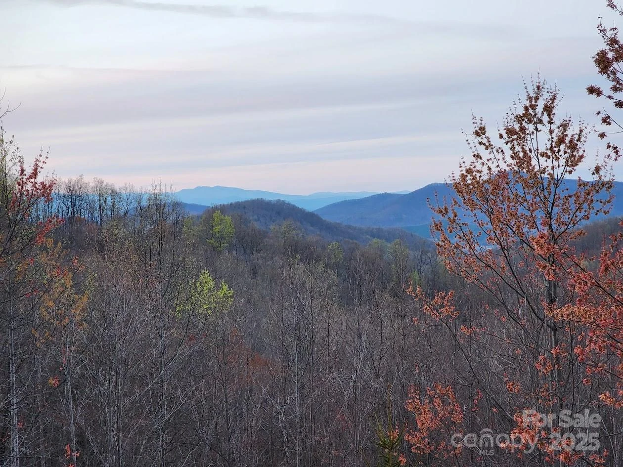 186 Black Ridge Drive - Photo 46