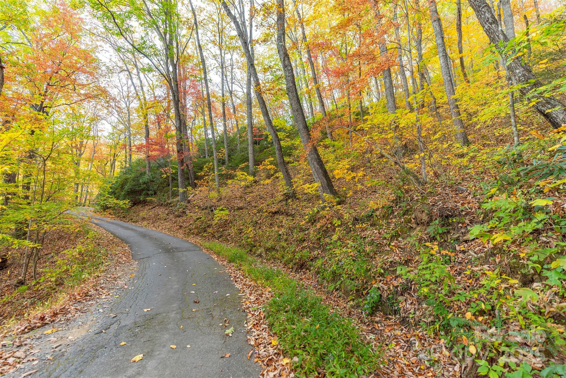 TBD Summer Haven Road #1-6 - Photo 2