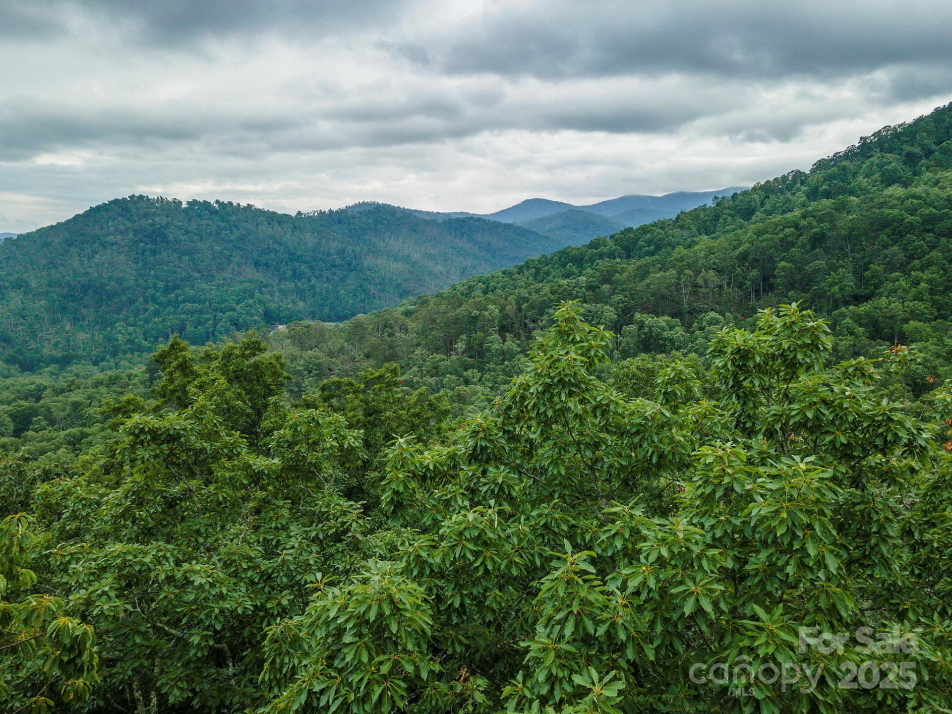 TBD Summer Haven Road #1-6 - Photo 14