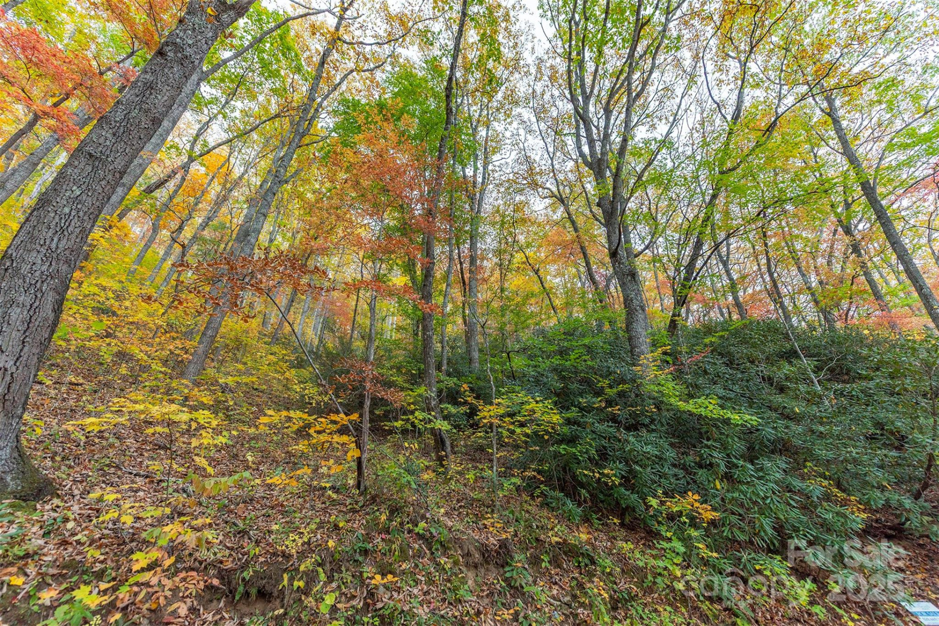 TBD Summer Haven Road #1-6 - Photo 16