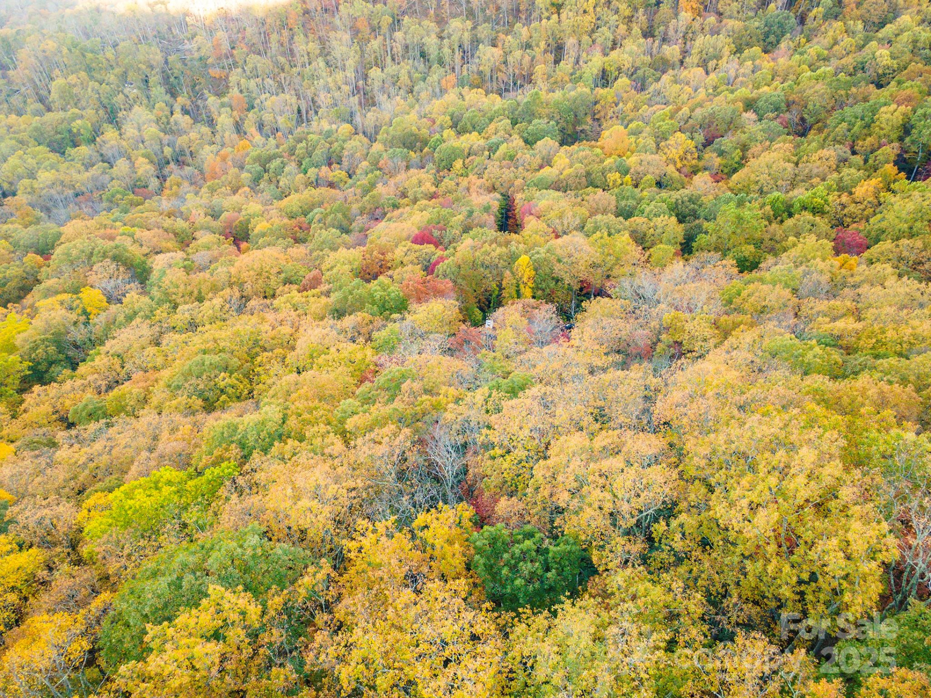 TBD Summer Haven Road #1-6 - Photo 17