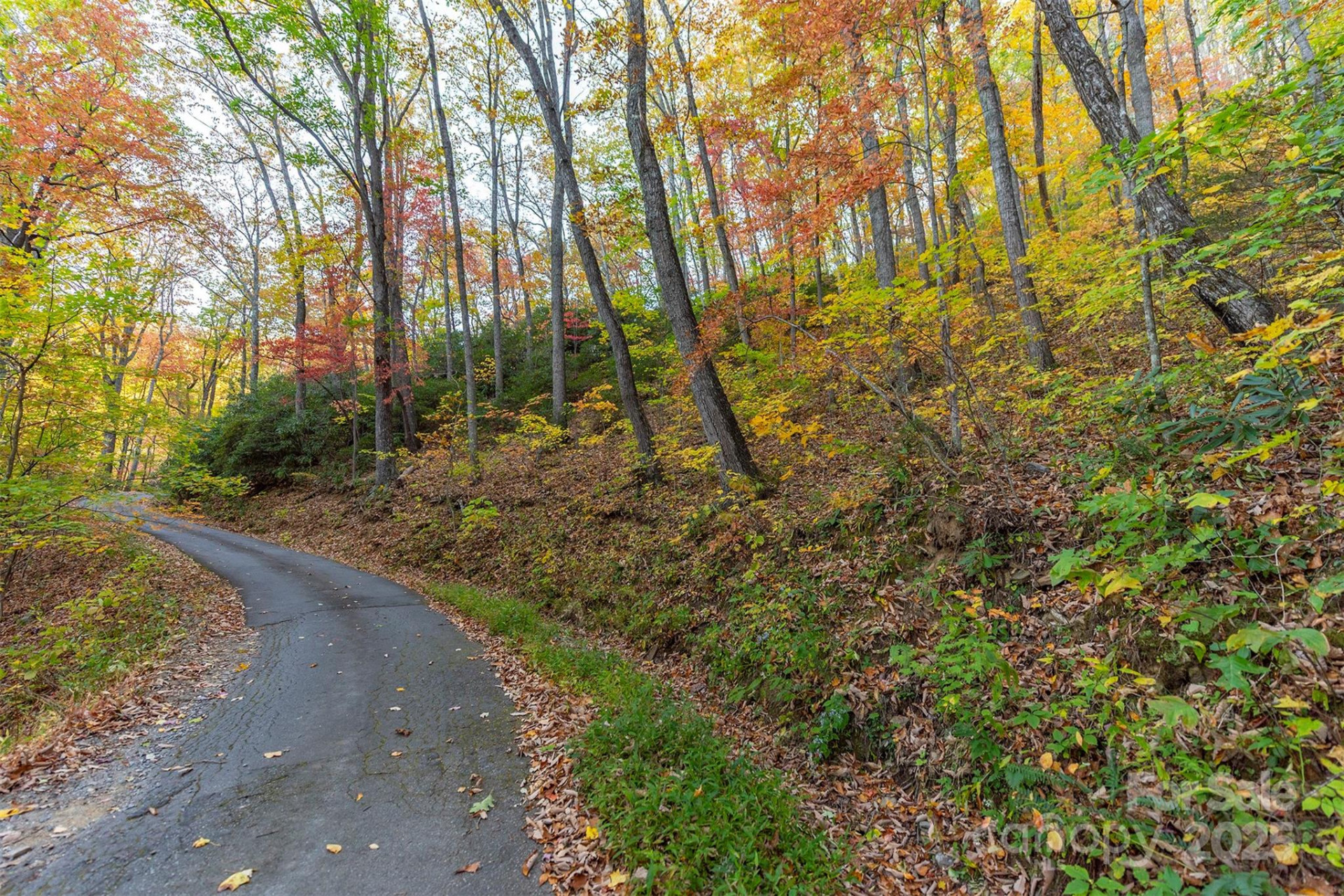 TBD Summer Haven Road #1-6 - Photo 18