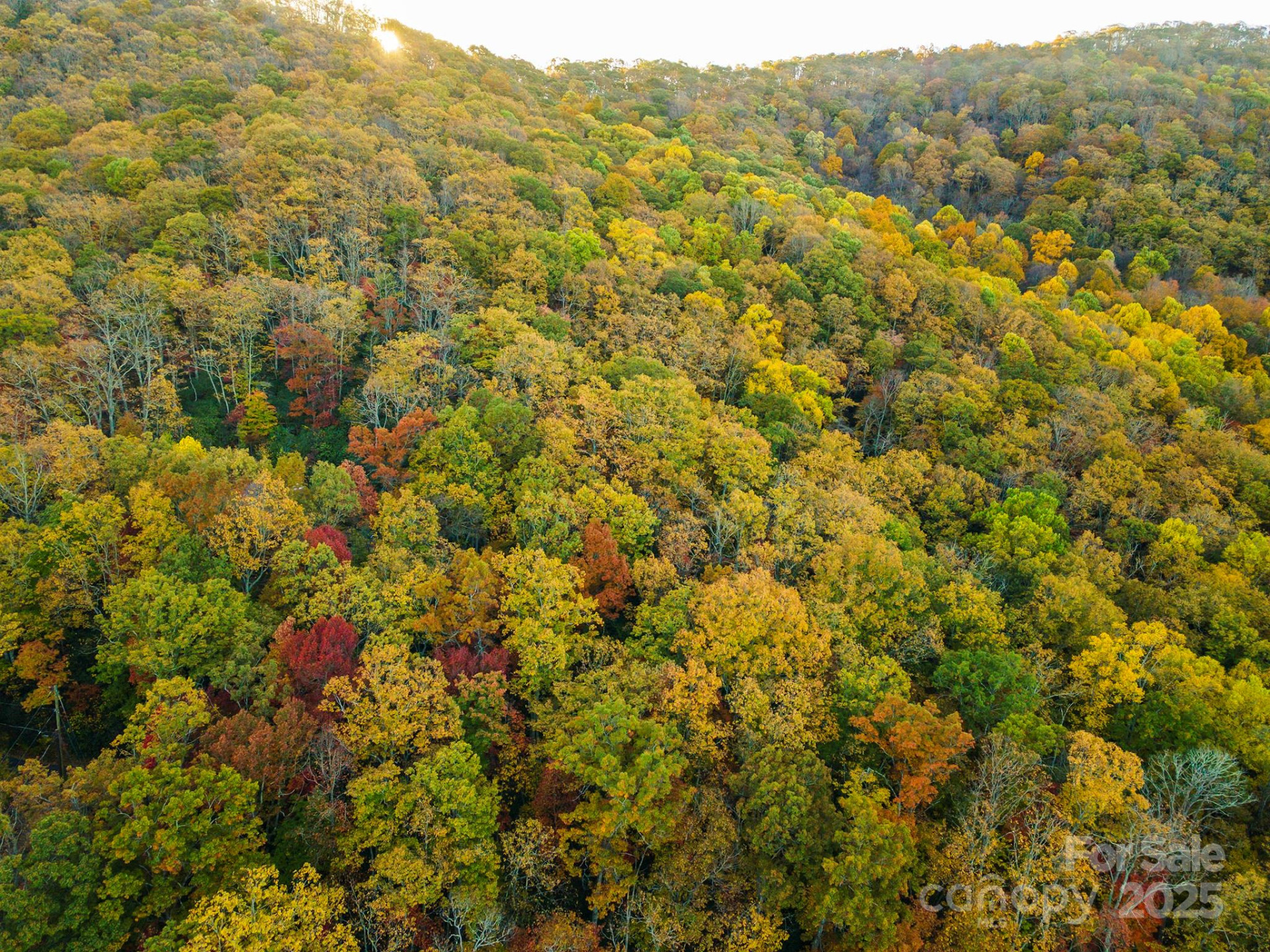 TBD Summer Haven Road #1-6 - Photo 19