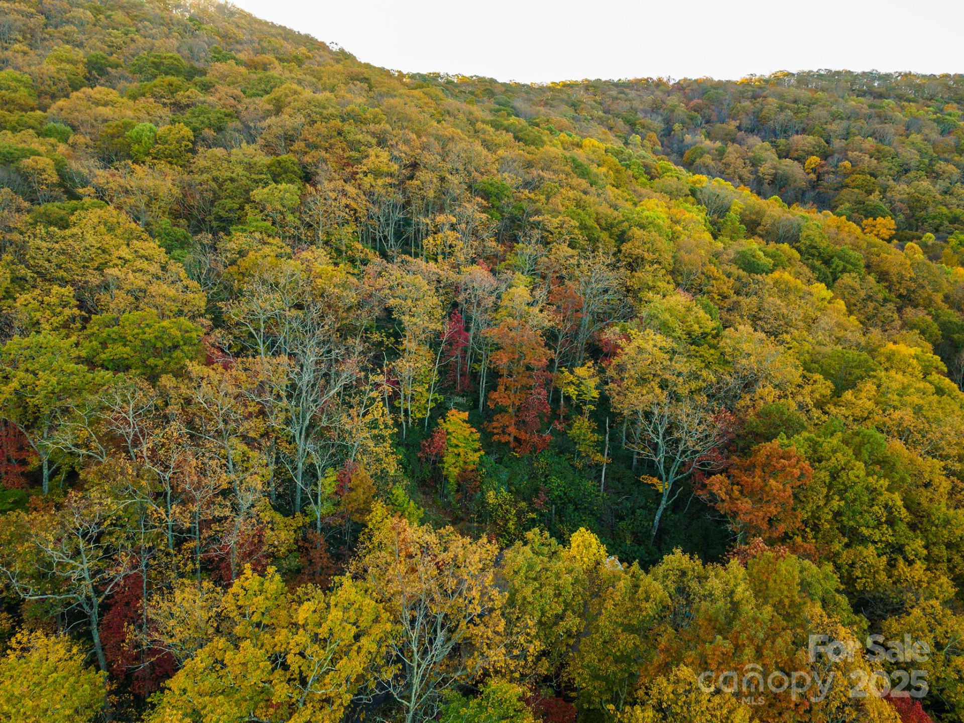 TBD Summer Haven Road #1-6 - Photo 20