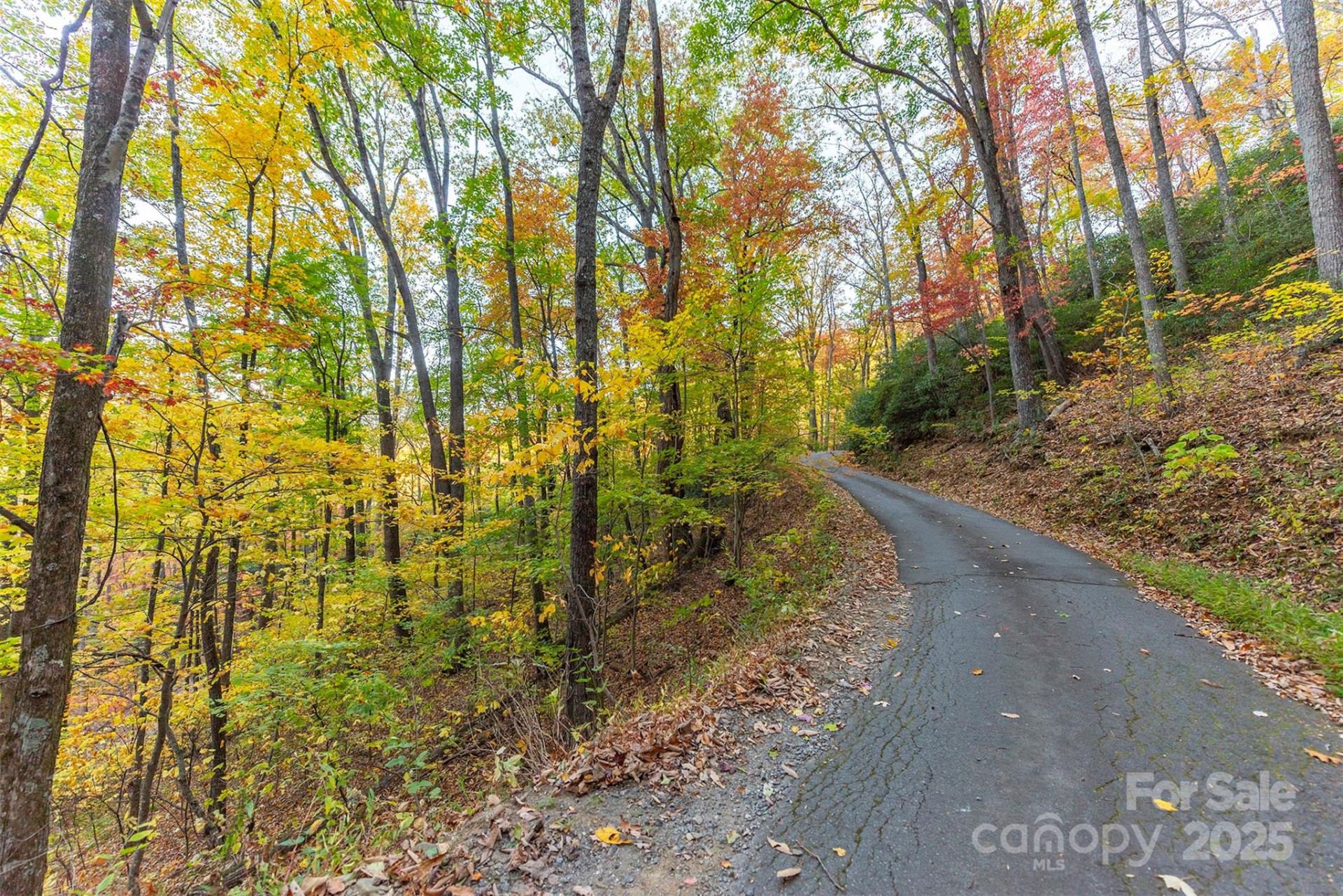 TBD Summer Haven Road #1-6 - Photo 3