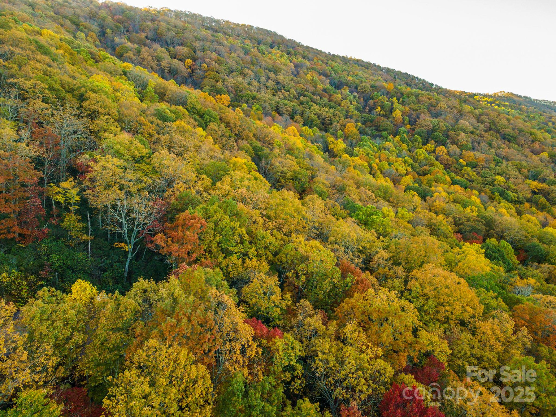 TBD Summer Haven Road #1-6 - Photo 21