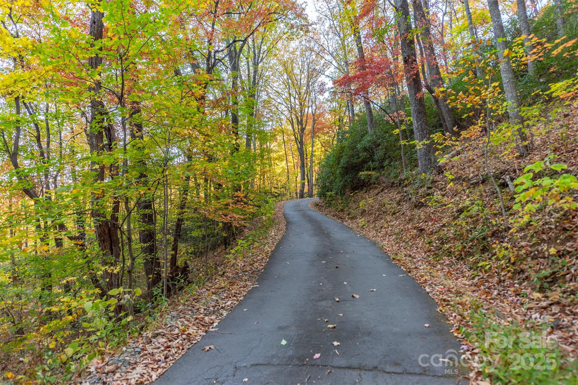 TBD Summer Haven Road #1-6 - Photo 22