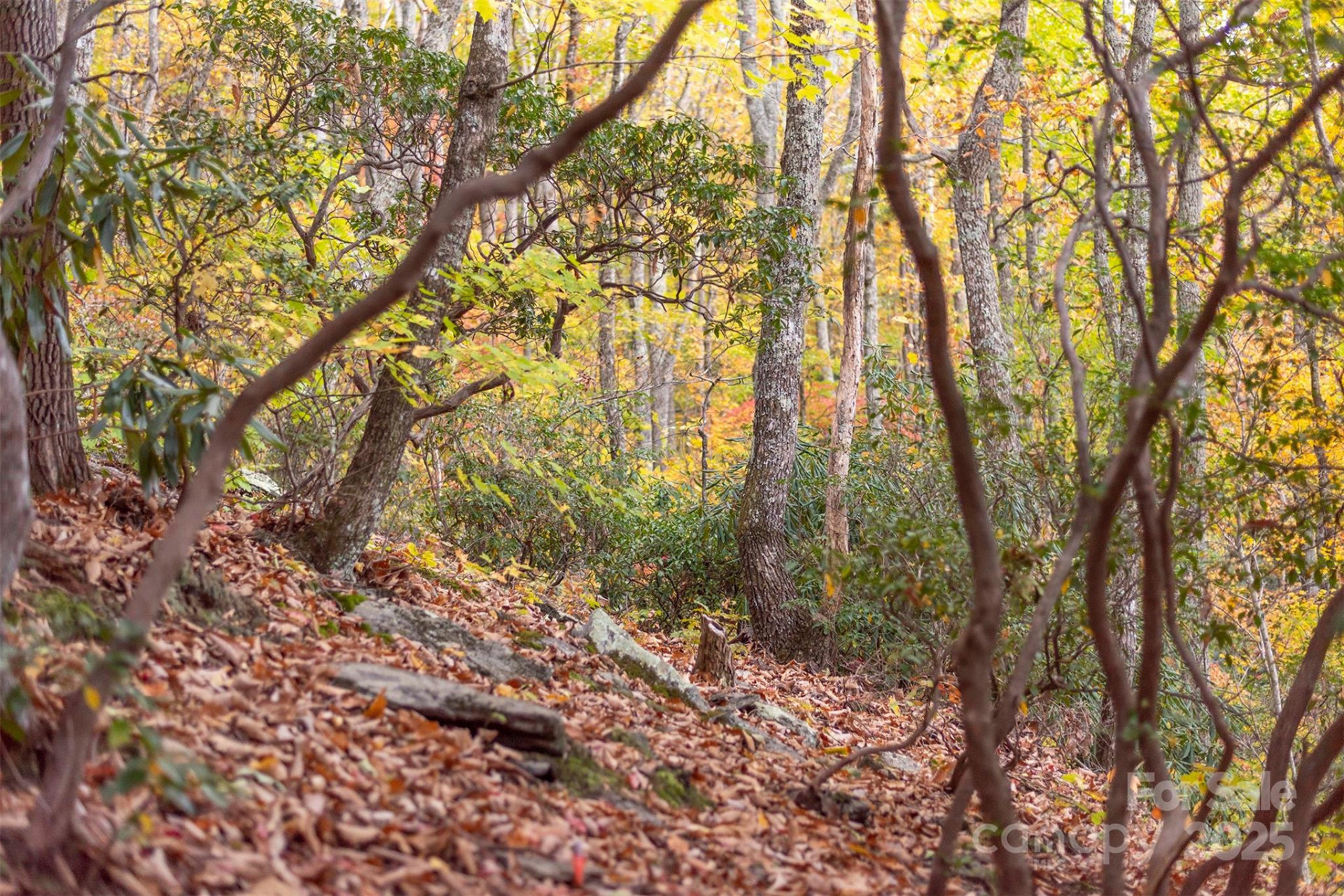 TBD Summer Haven Road #1-6 - Photo 23