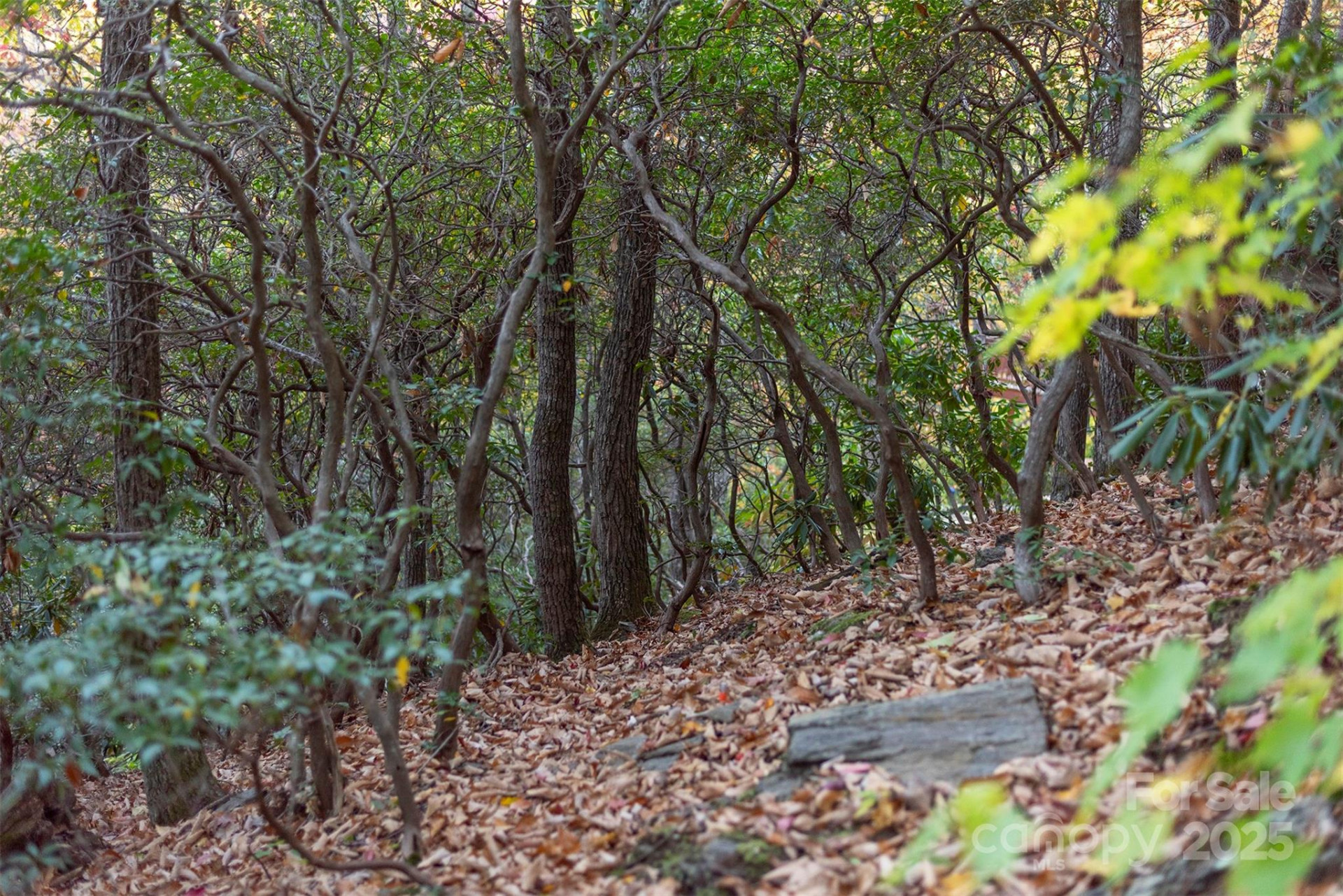 TBD Summer Haven Road #1-6 - Photo 26