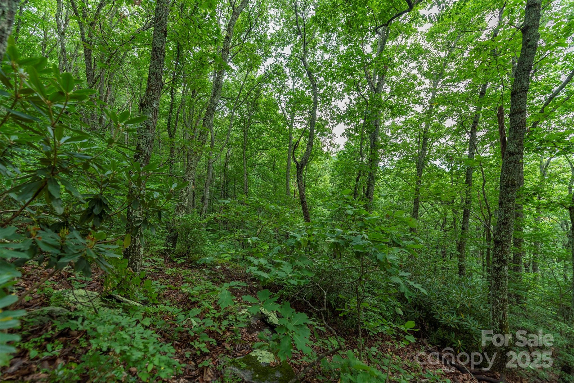 TBD Summer Haven Road #1-6 - Photo 27