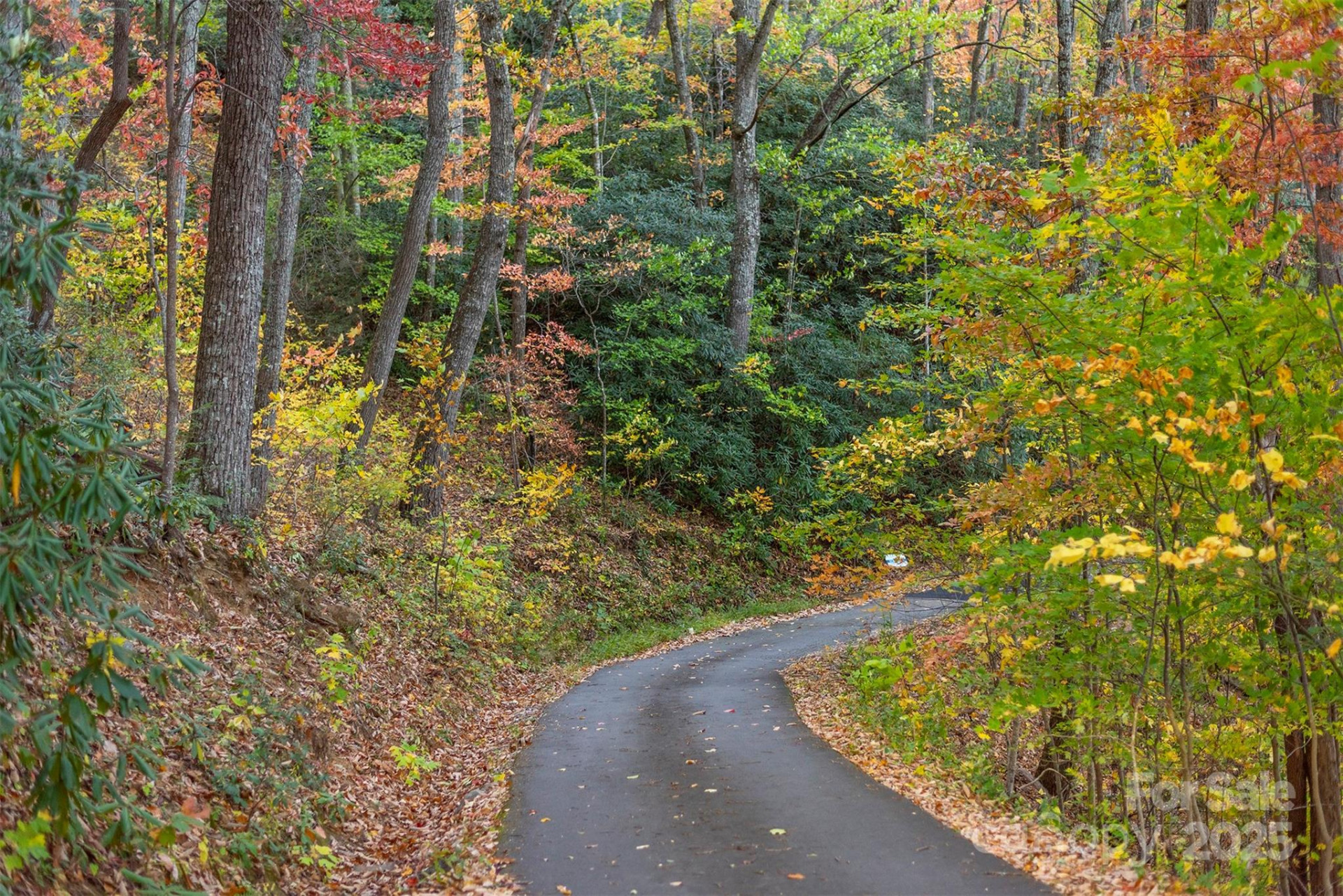 TBD Summer Haven Road #1-6 - Photo 30