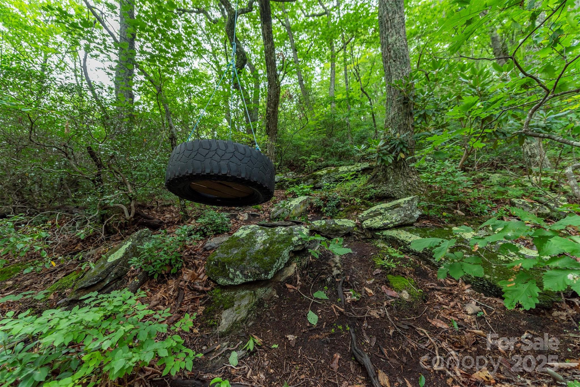 TBD Summer Haven Road #1-6 - Photo 35