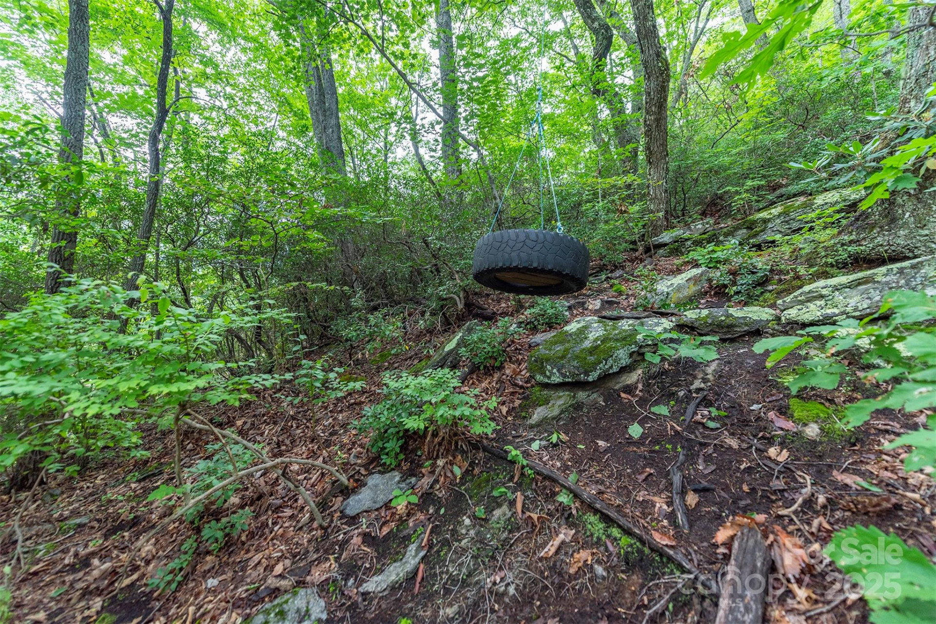 TBD Summer Haven Road #1-6 - Photo 36