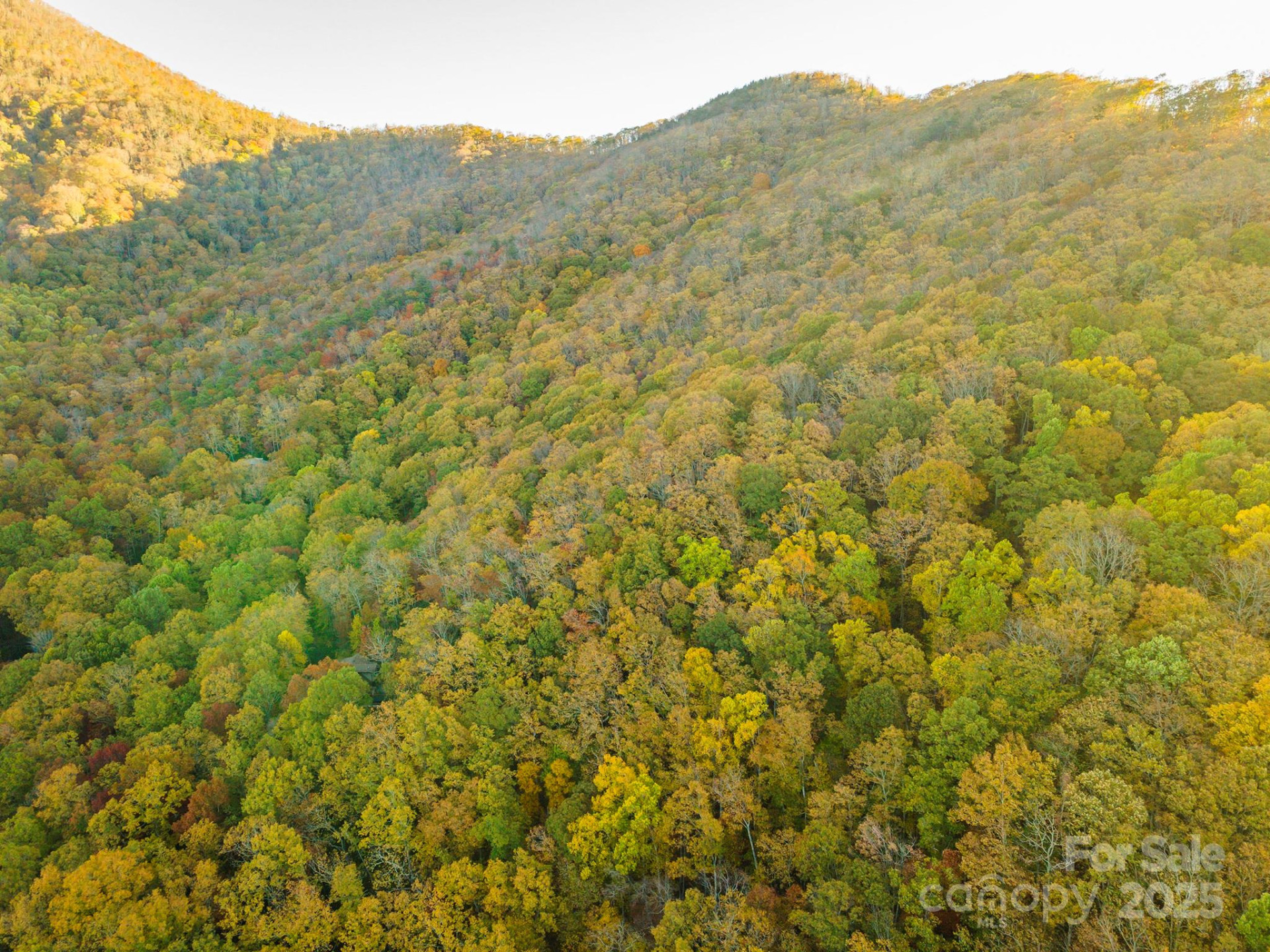 TBD Summer Haven Road #1-6 - Photo 37