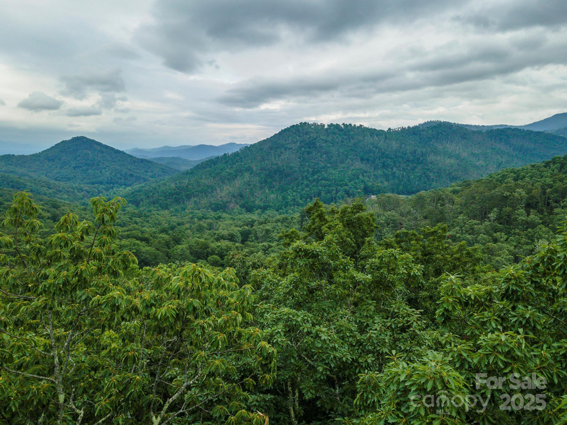 TBD Summer Haven Road #1-6 - Photo 43