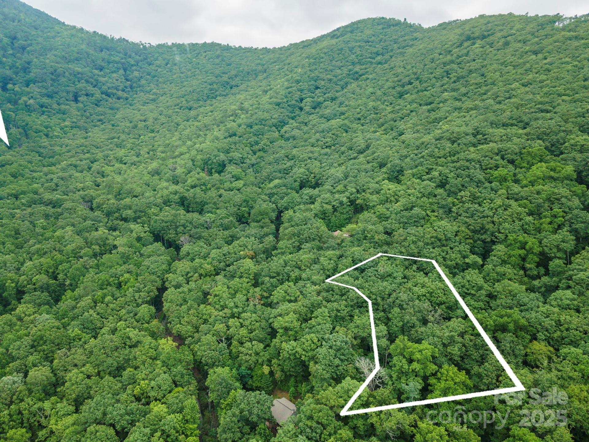 TBD Summer Haven Road #1-6 - Photo 45