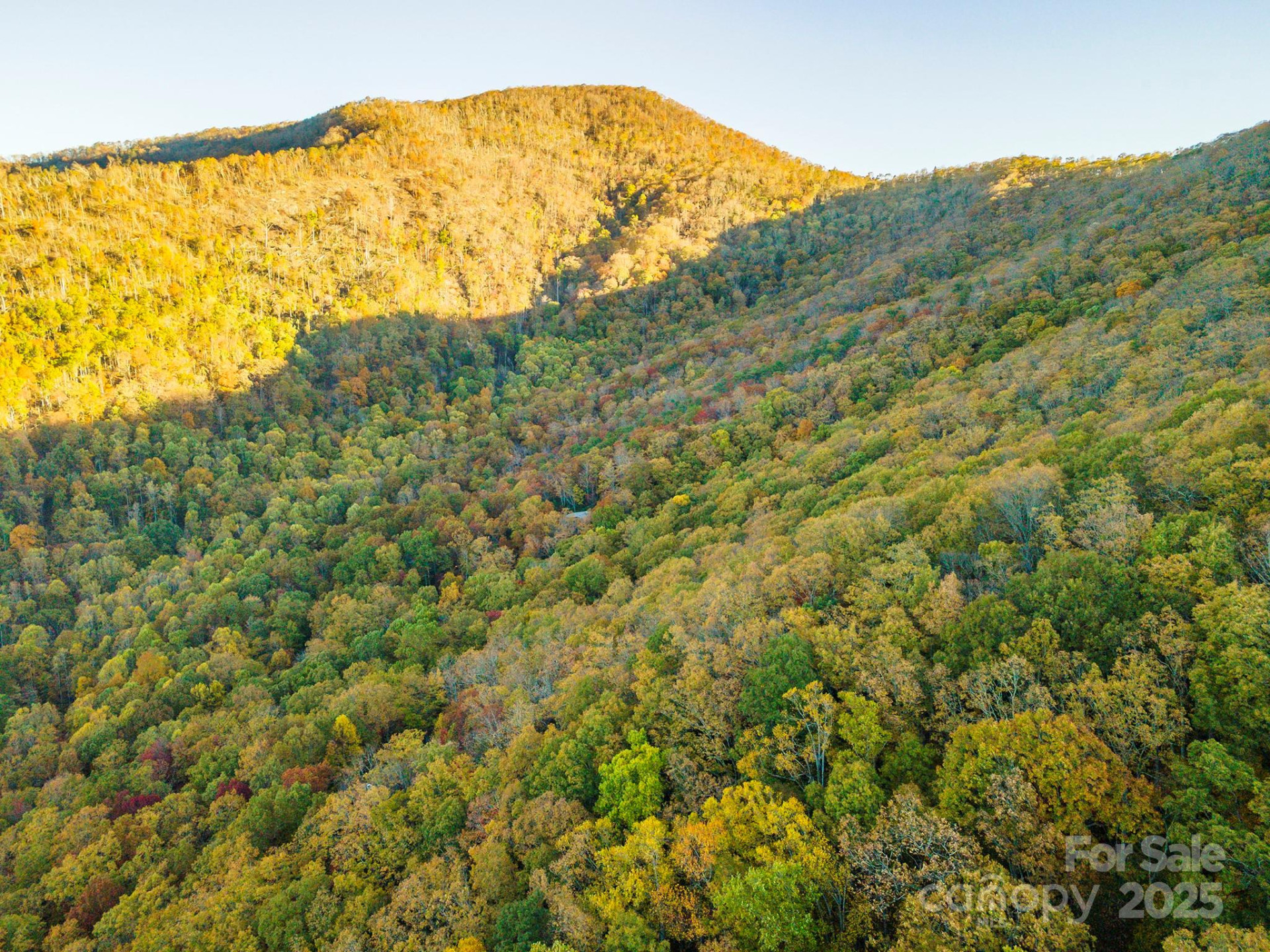 TBD Summer Haven Road #1-6 - Photo 7