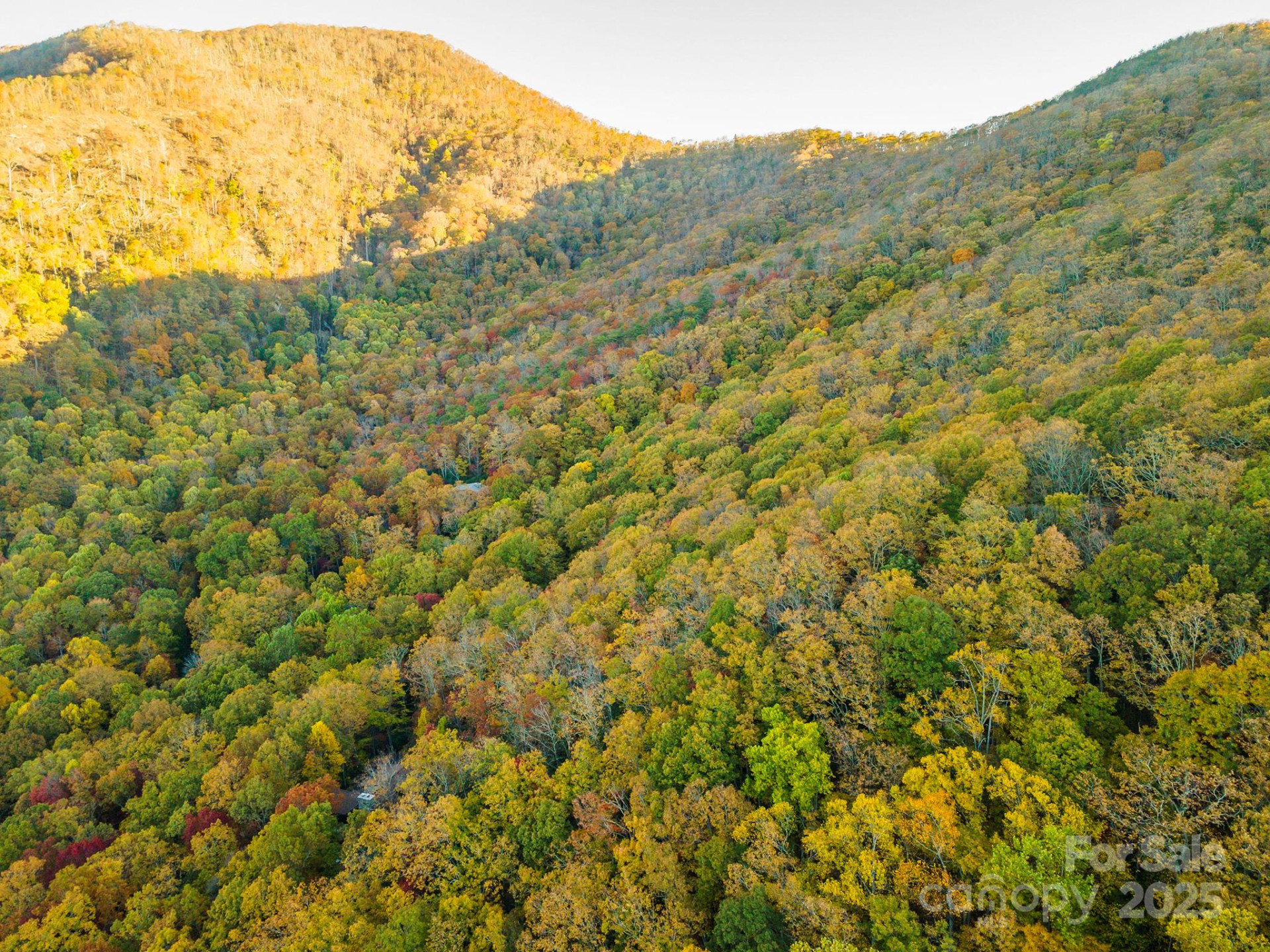 TBD Summer Haven Road #1-6 - Photo 8