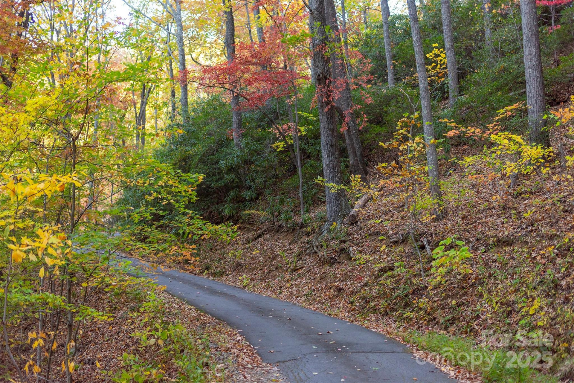 TBD Summer Haven Road #1-6 - Photo 9