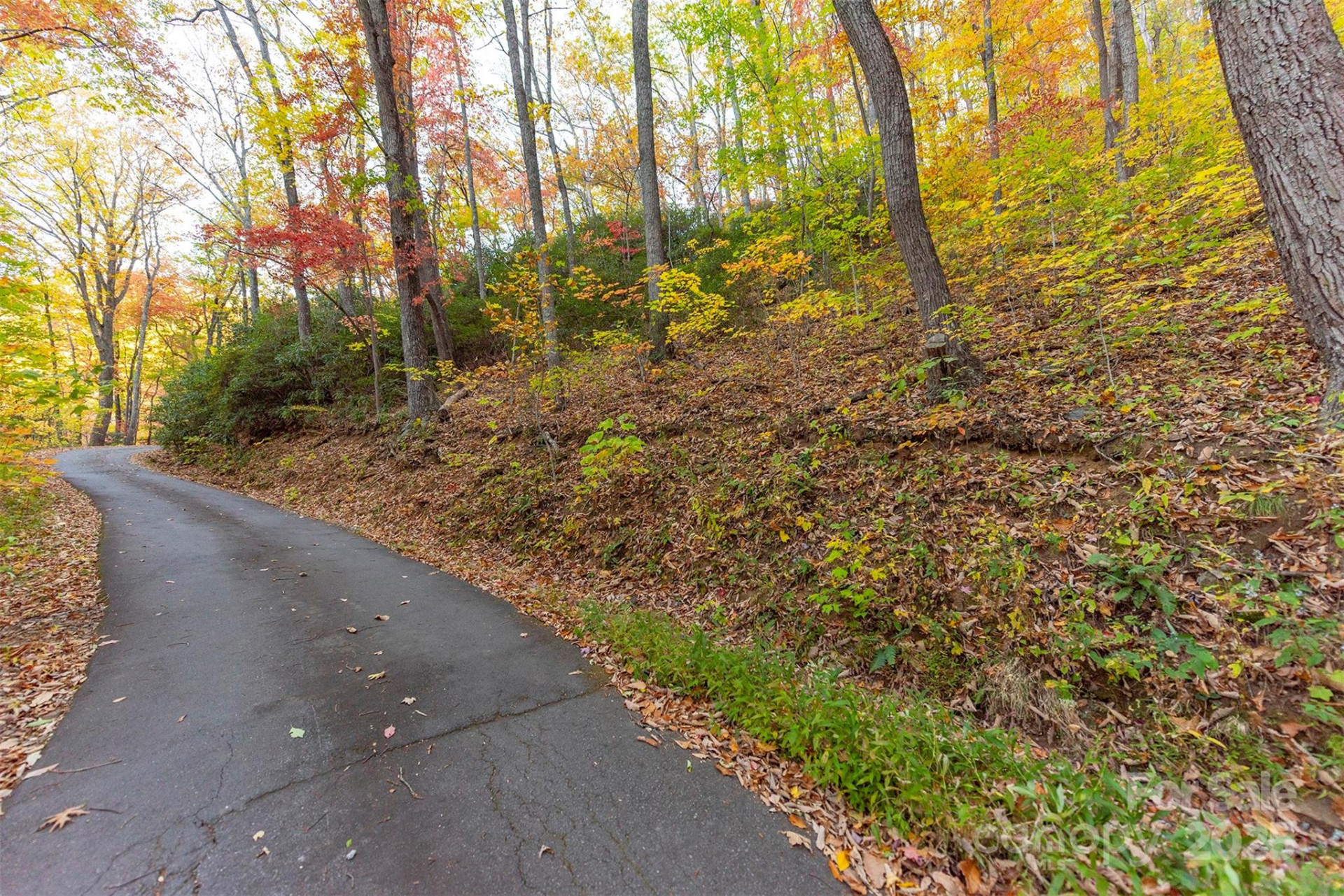 TBD Summer Haven Road #1-6 - Photo 10