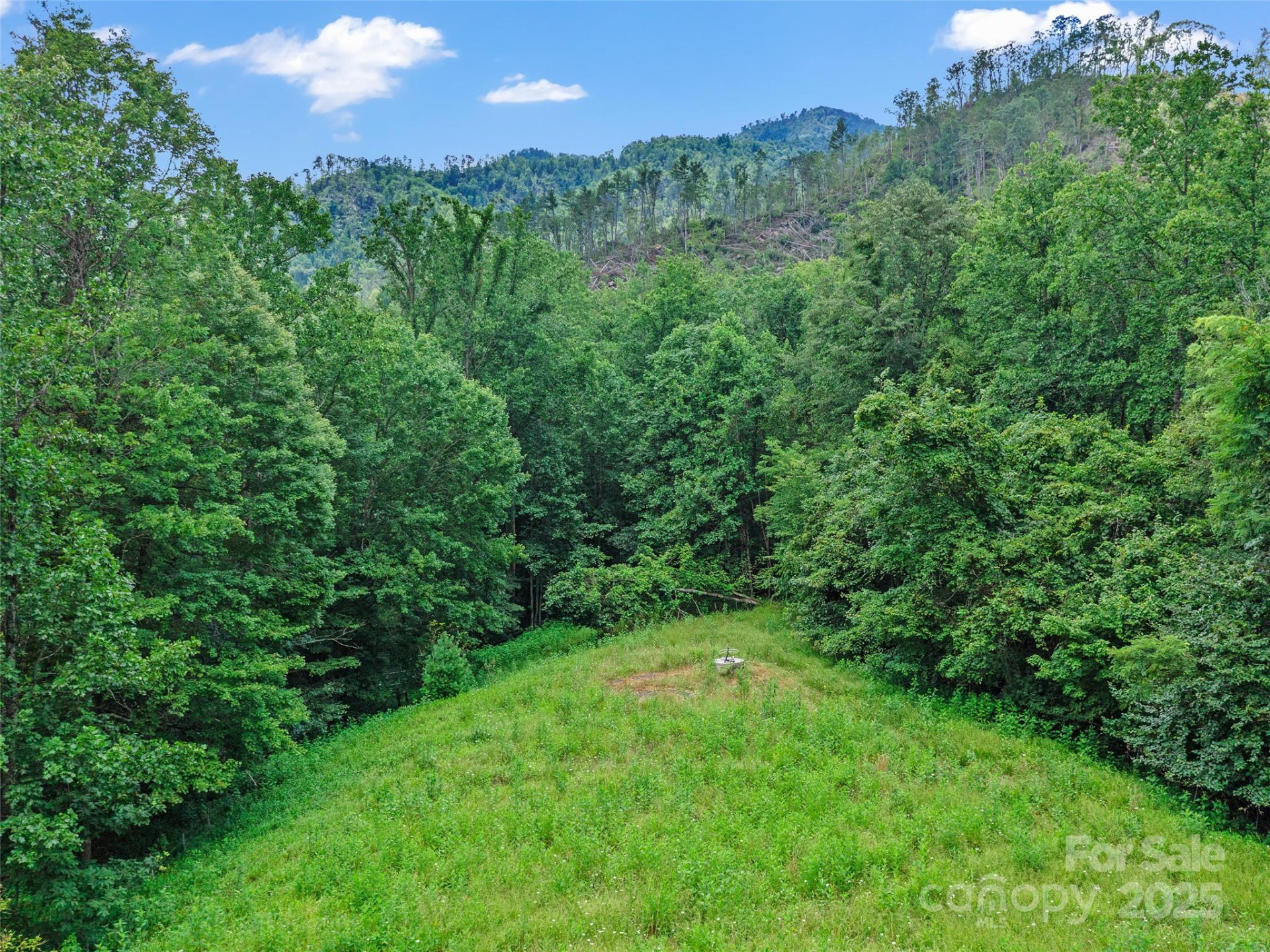 2216 Beans Creek Road - Photo 30