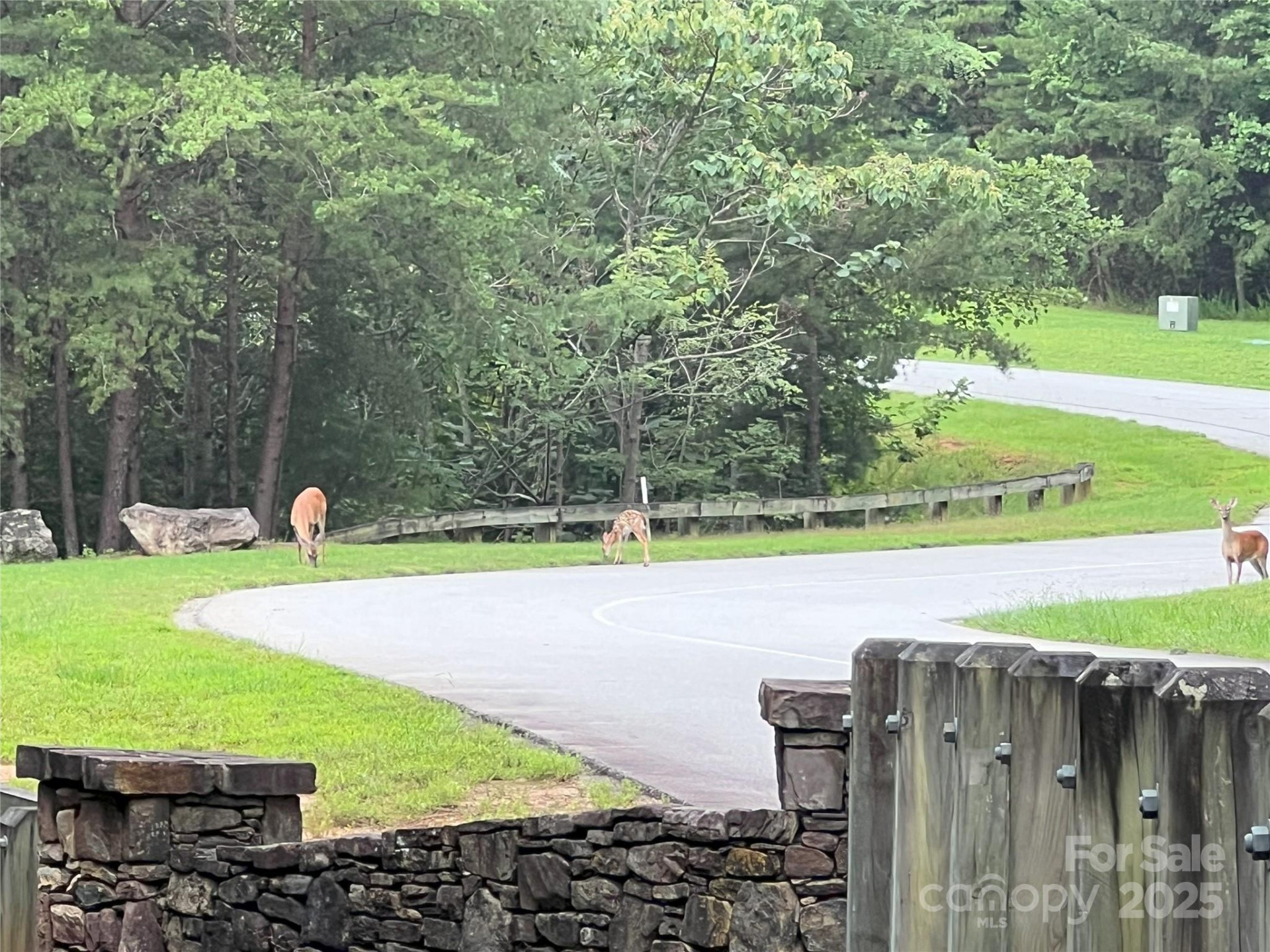 00 Deep Gap Road #97 - Photo 12