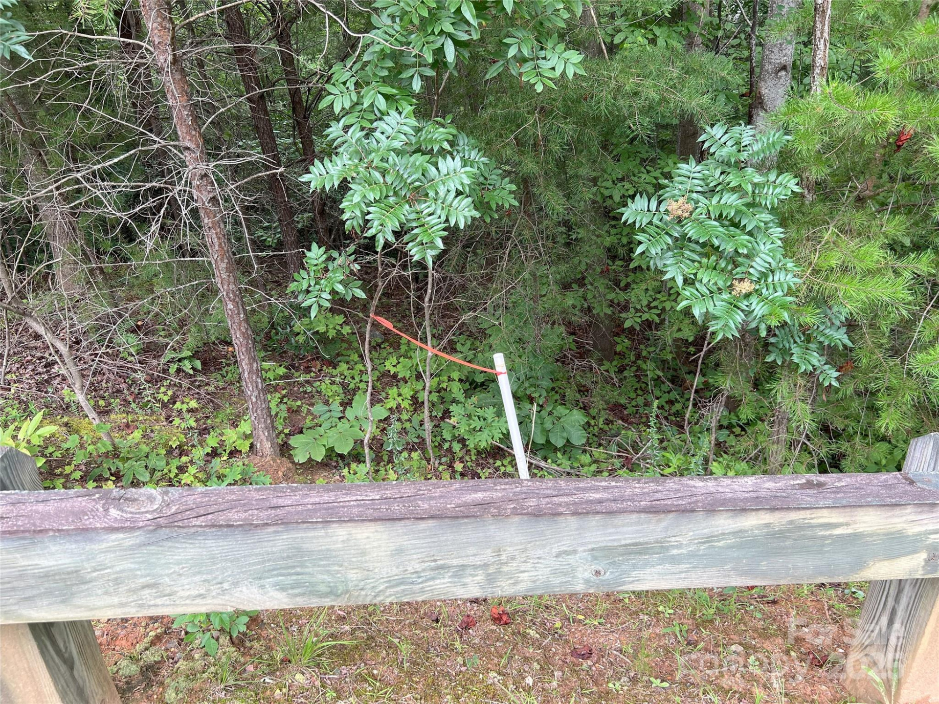 00 Deep Gap Road #97 - Photo 4