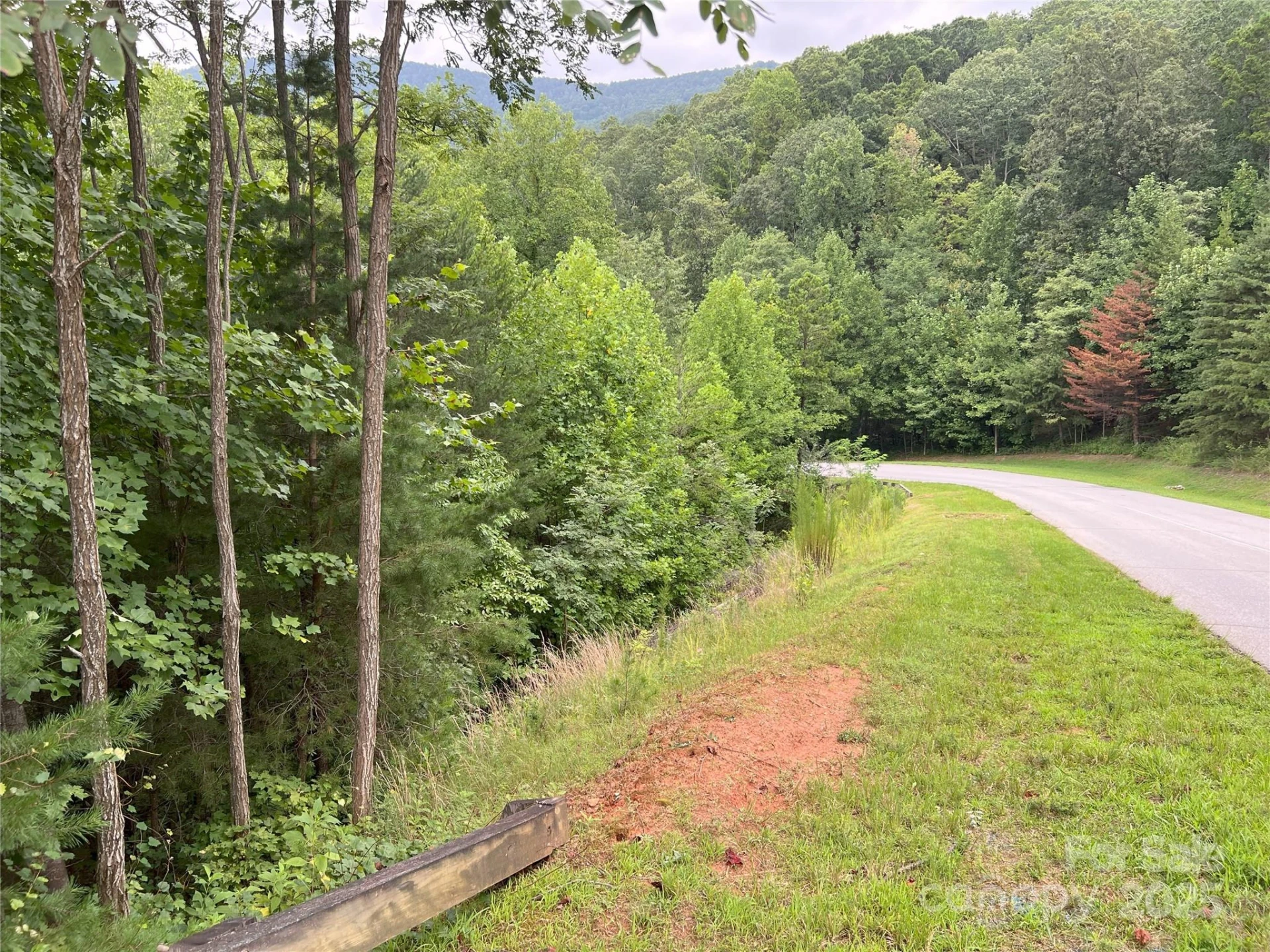 00 Deep Gap Road #97 - Photo 5