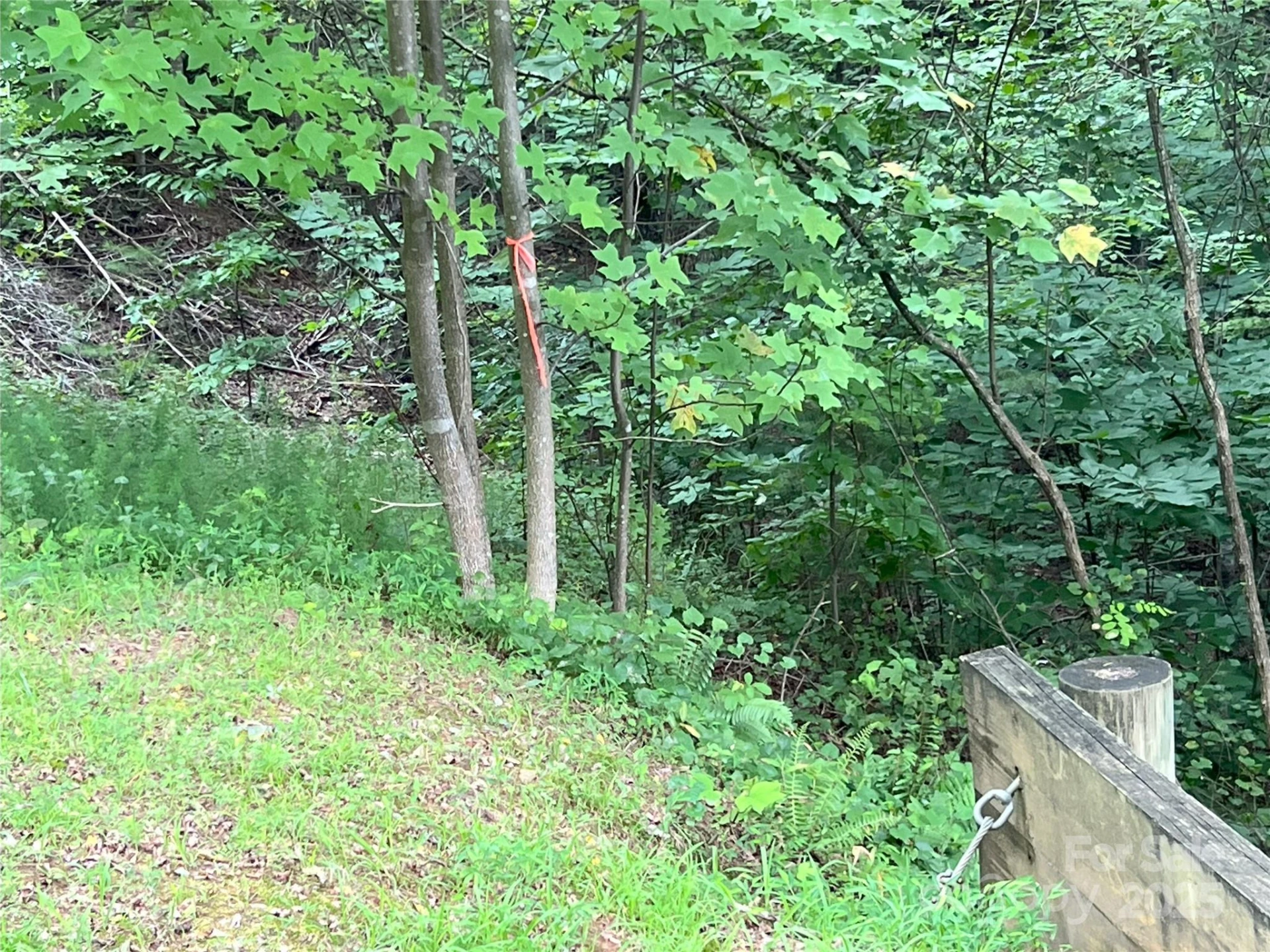00 Deep Gap Road #97 - Photo 6