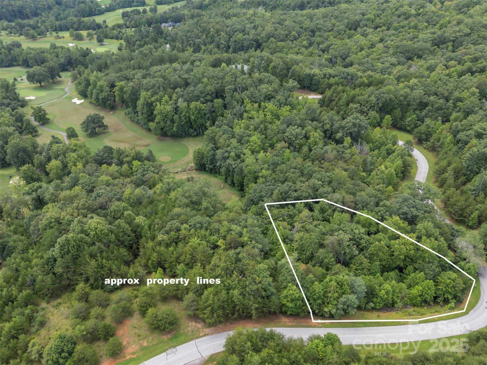 00 Deep Gap Road #97 - Photo 8