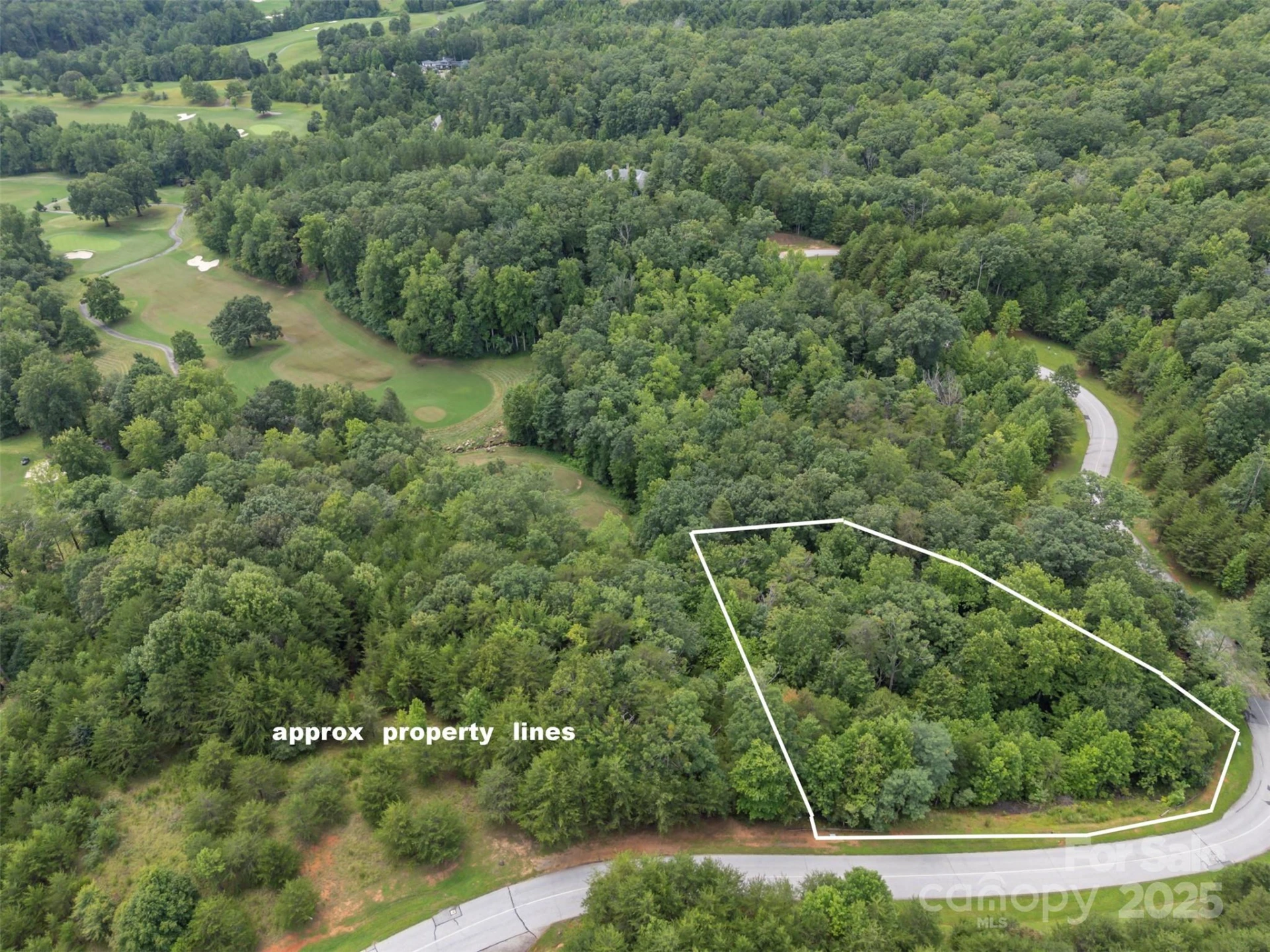 00 Deep Gap Road #97 - Photo 8