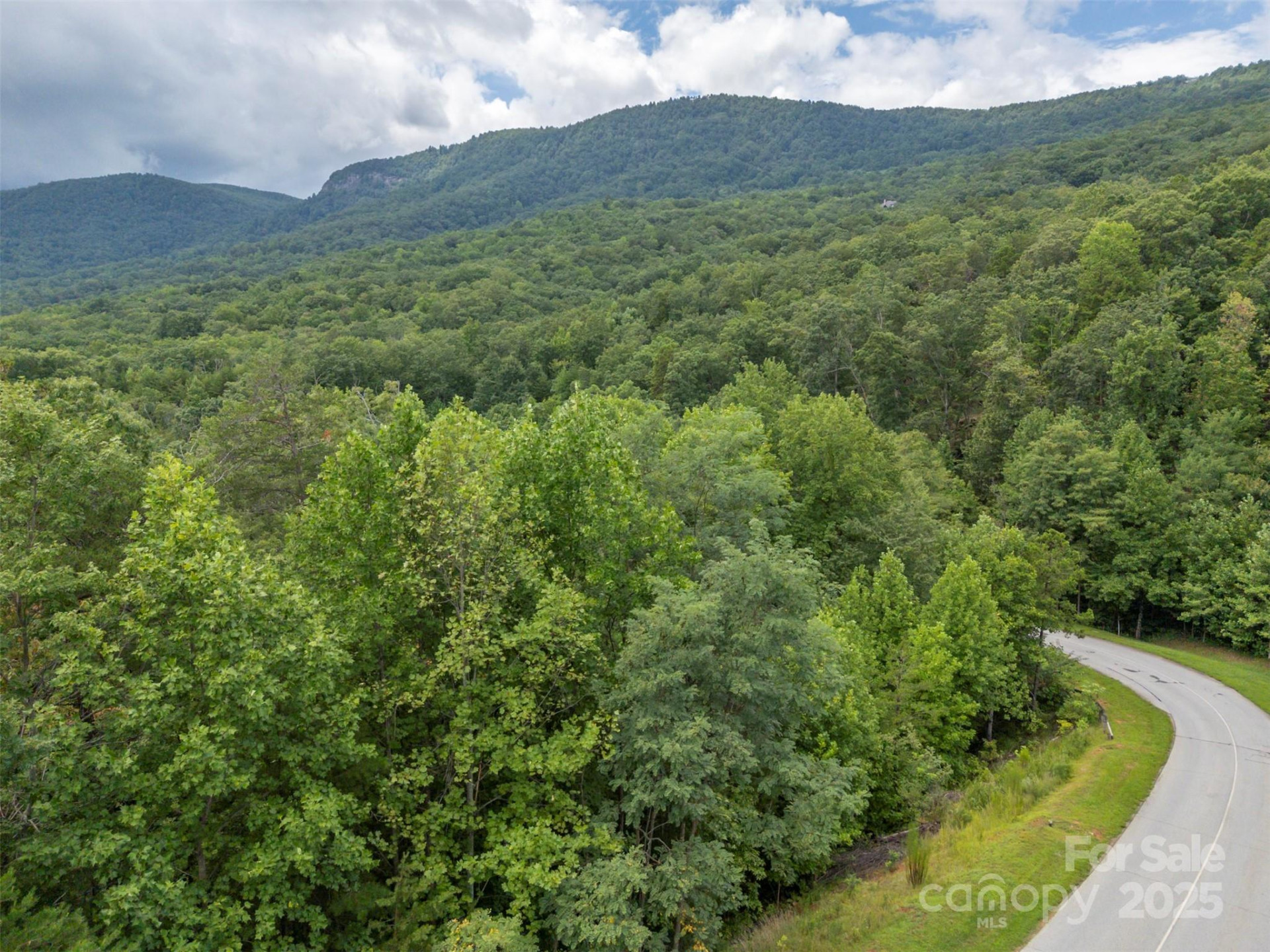 00 Deep Gap Road #97 - Photo 9