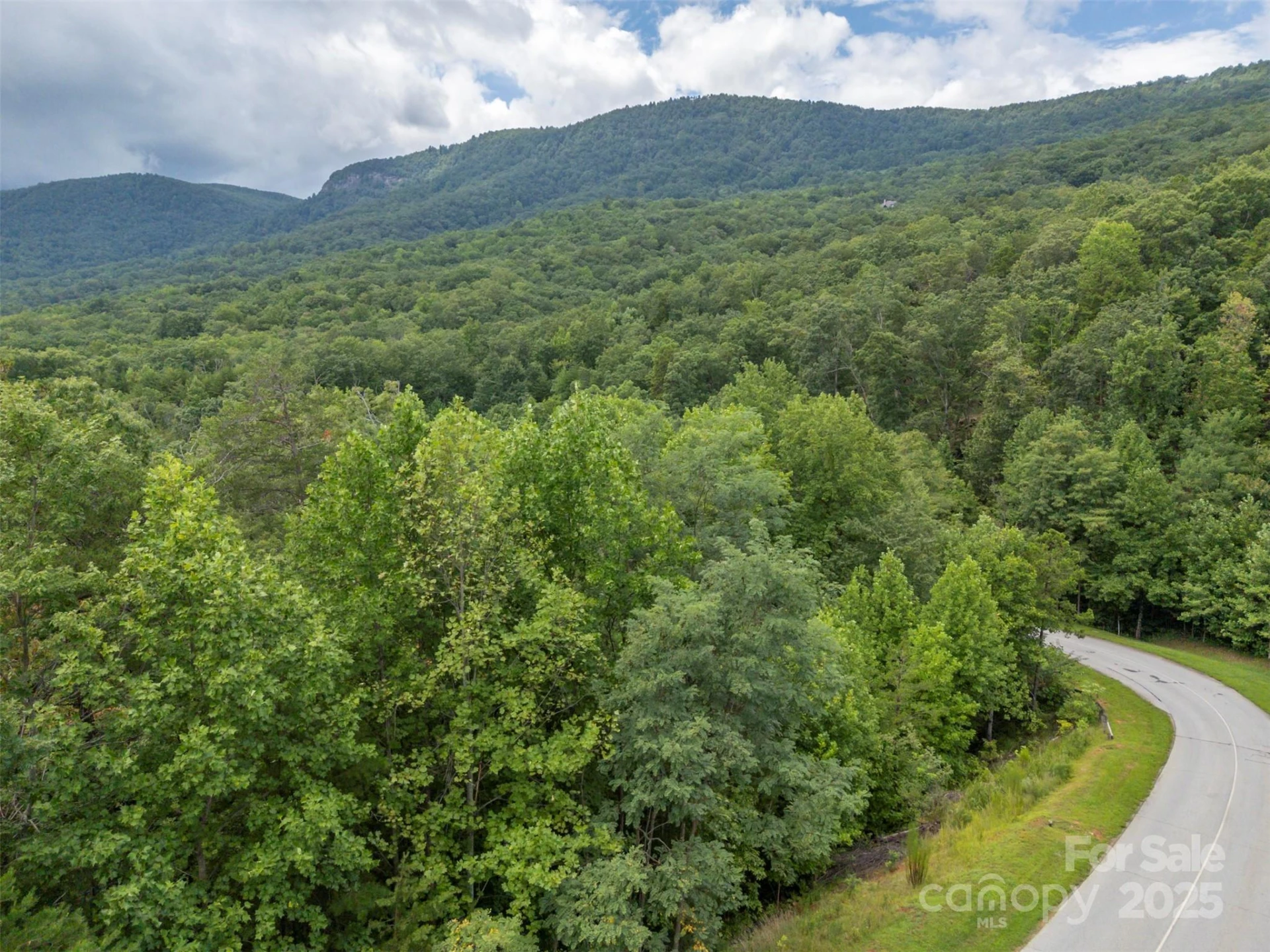 00 Deep Gap Road #97 - Photo 9