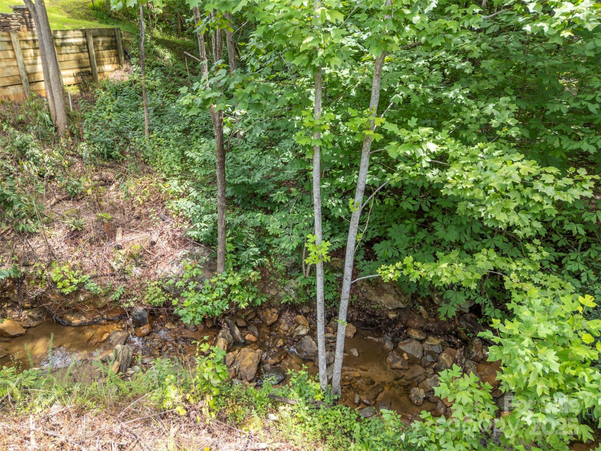 00 Deep Gap Road #97 - Photo 10