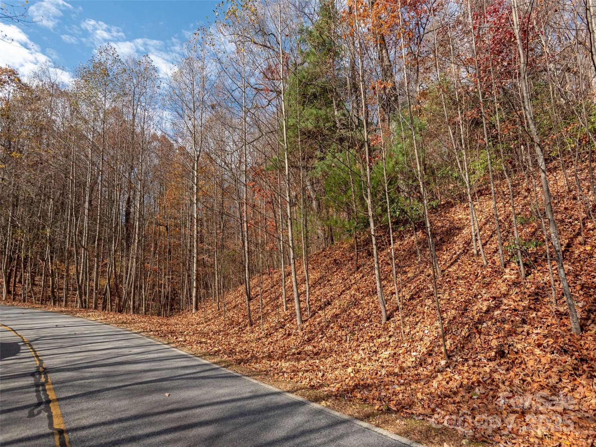 128 Pinnacle Peak Lane - Photo 5