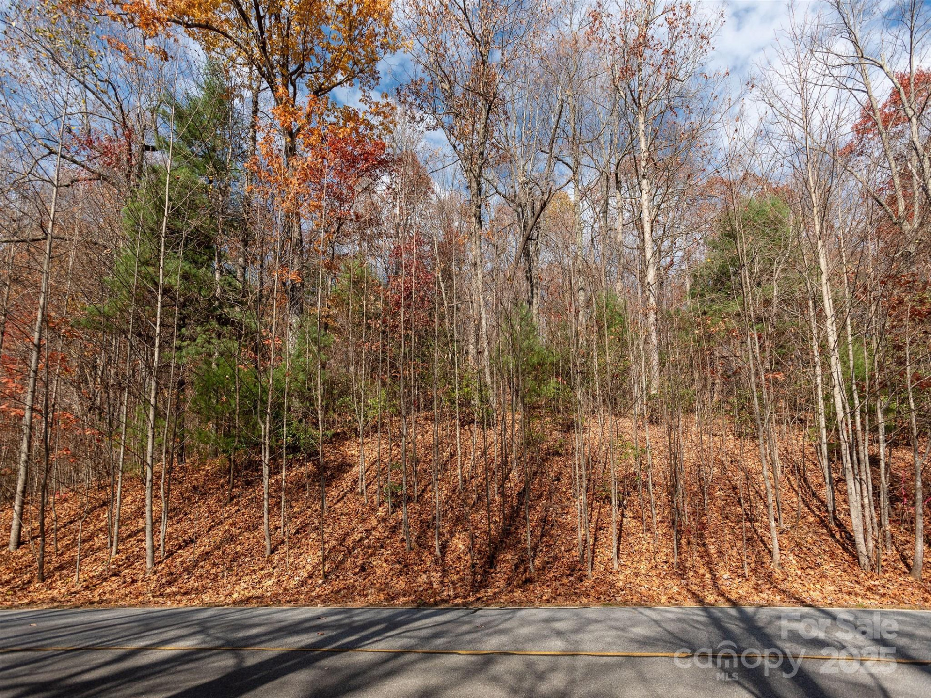 128 Pinnacle Peak Lane - Photo 6