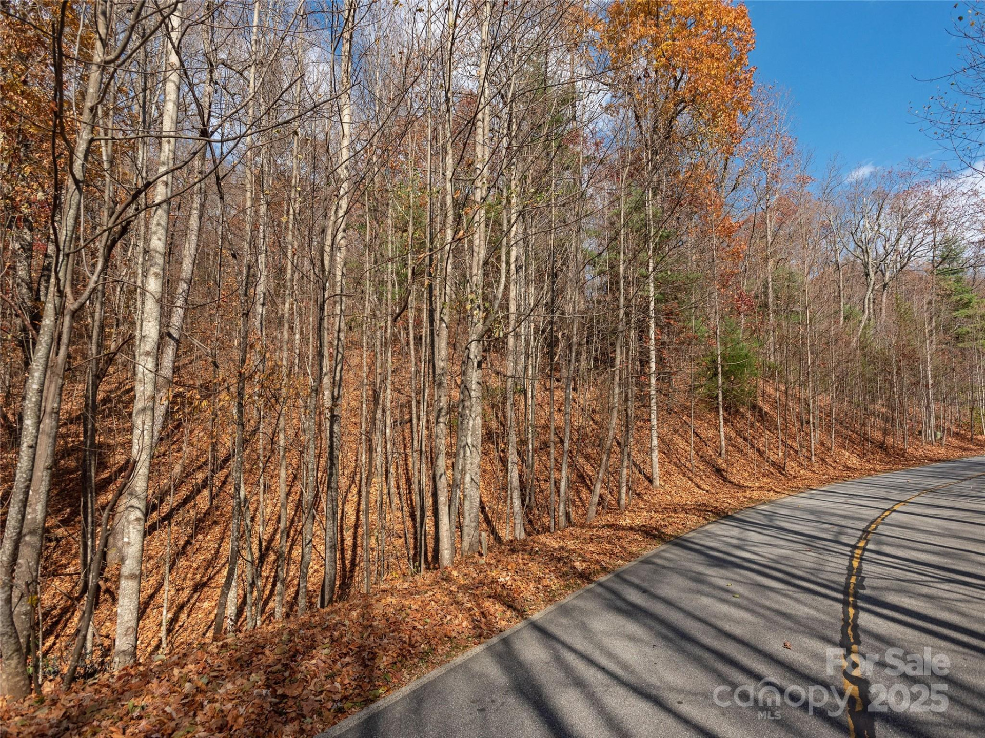 128 Pinnacle Peak Lane - Photo 8