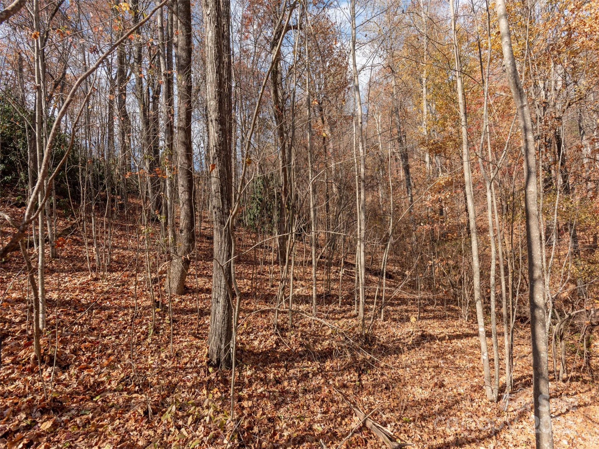 128 Pinnacle Peak Lane - Photo 9