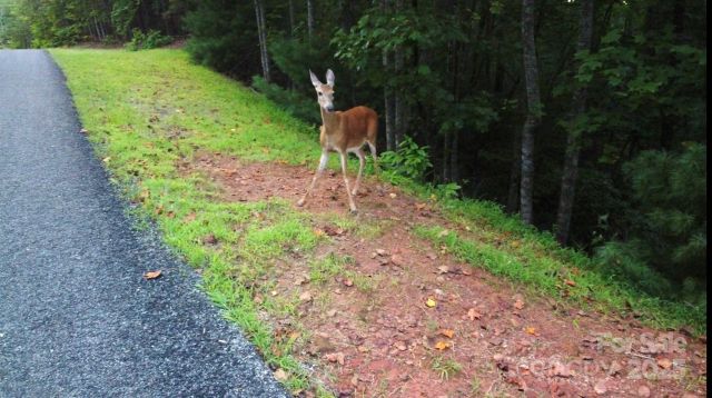 lots 11/12 South Pointe Road